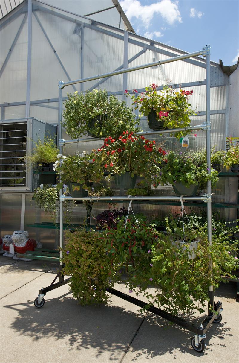 hanging planter rack Quality Fabricators¨ Hanging Flower Basket Rack| Standard 5" Caster ;Upright Height| 7' Uprights;Z-Rack Base Color| Black